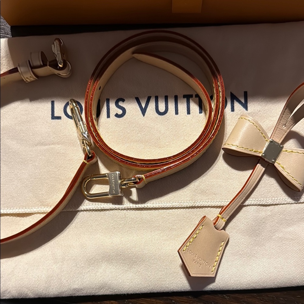 Louis Vuitton X Takashi Murakami NANO SPEEDY** Investement Piece - Picture 3 of 13